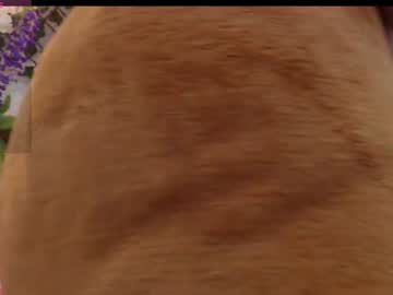 risitos_de_oro_