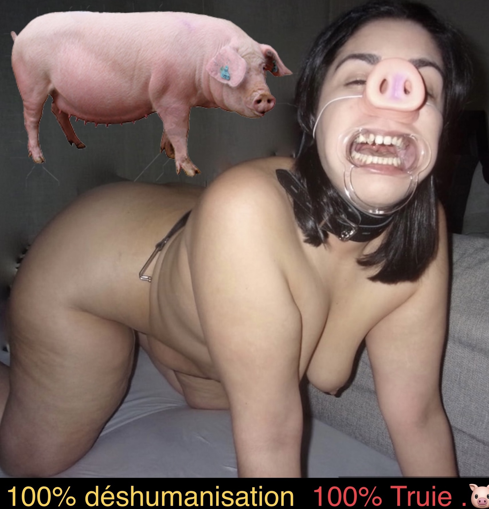 Dirty big ass fuckpig — 7